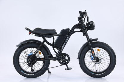 Ebike,750W Motor,48V15.6Ah Battery,20 Inches,Maximum Speed 45KM