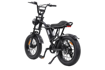 Ebike,750W Motor,48V15Ah Battery,20 Inches,Maximum Speed 40KM-H