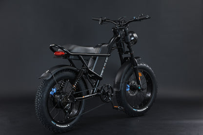 Ebike,750W Motor,48V15.6Ah Battery,20 Inches,Maximum Speed 45KM