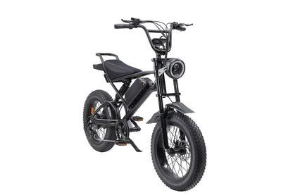 Ebike,1000W Motor,48V15Ah Battery,20 Inches,Maximum Speed 45-50KM