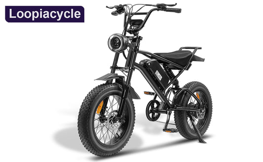 Ebike,1000W Motor,48V15Ah Battery,20 Inches,Maximum Speed 45-50KM