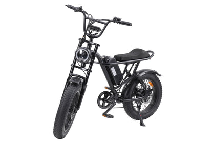 Ebike,750W Motor,48V15Ah Battery,20 Inches,Maximum Speed 40KM-H