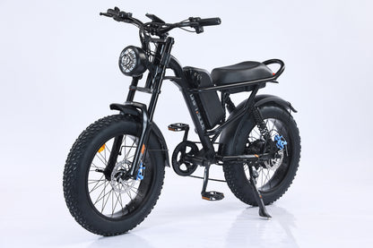 Ebike,750W Motor,48V15.6Ah Battery,20 Inches,Maximum Speed 45KM