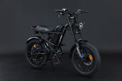 Ebike,250W Motor,36V7.8Ah Battery,16Inches,Maximum Speed 25KM