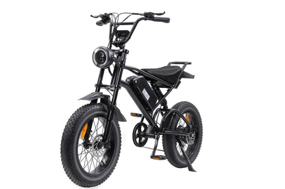 Ebike,1000W Motor,48V15Ah Battery,20 Inches,Maximum Speed 45-50KM