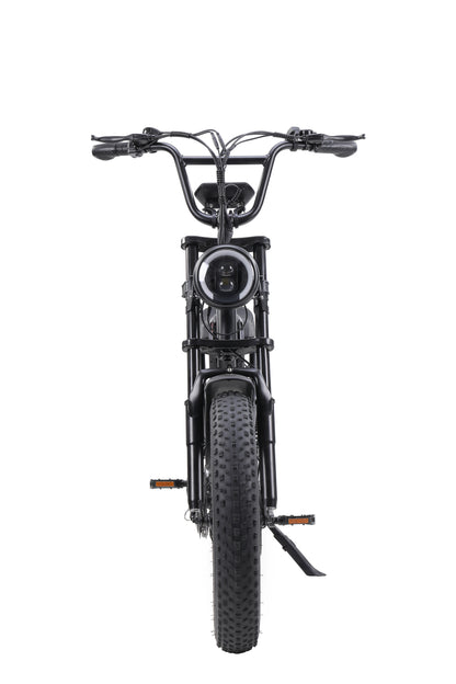 Ebike,750W Motor,48V15Ah Battery,20 Inches,Maximum Speed 40KM-H