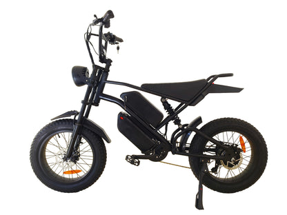 Ebike,1000W Motor,48V30Ah Battery,20 Inches,Maximum Speed 40-50KM