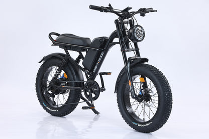 Ebike,750W Motor,48V15.6Ah Battery,20 Inches,Maximum Speed 45KM