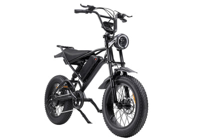 Ebike,1000W Motor,48V15Ah Battery,20 Inches,Maximum Speed 45-50KM