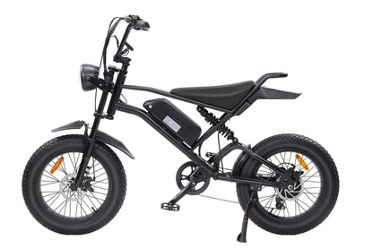 Ebike,1000W Motor,48V15Ah Battery,20 Inches,Maximum Speed 45-50KM