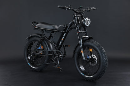 Ebike,750W Motor,48V15.6Ah Battery,20 Inches,Maximum Speed 45KM